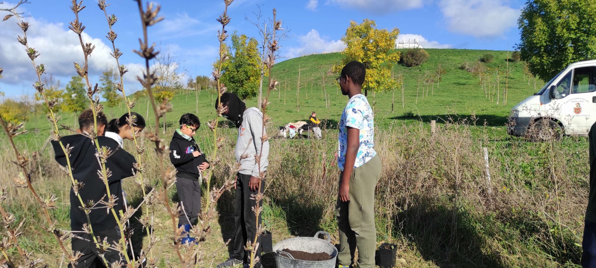 Plantación de árboles en 6º de Primaria